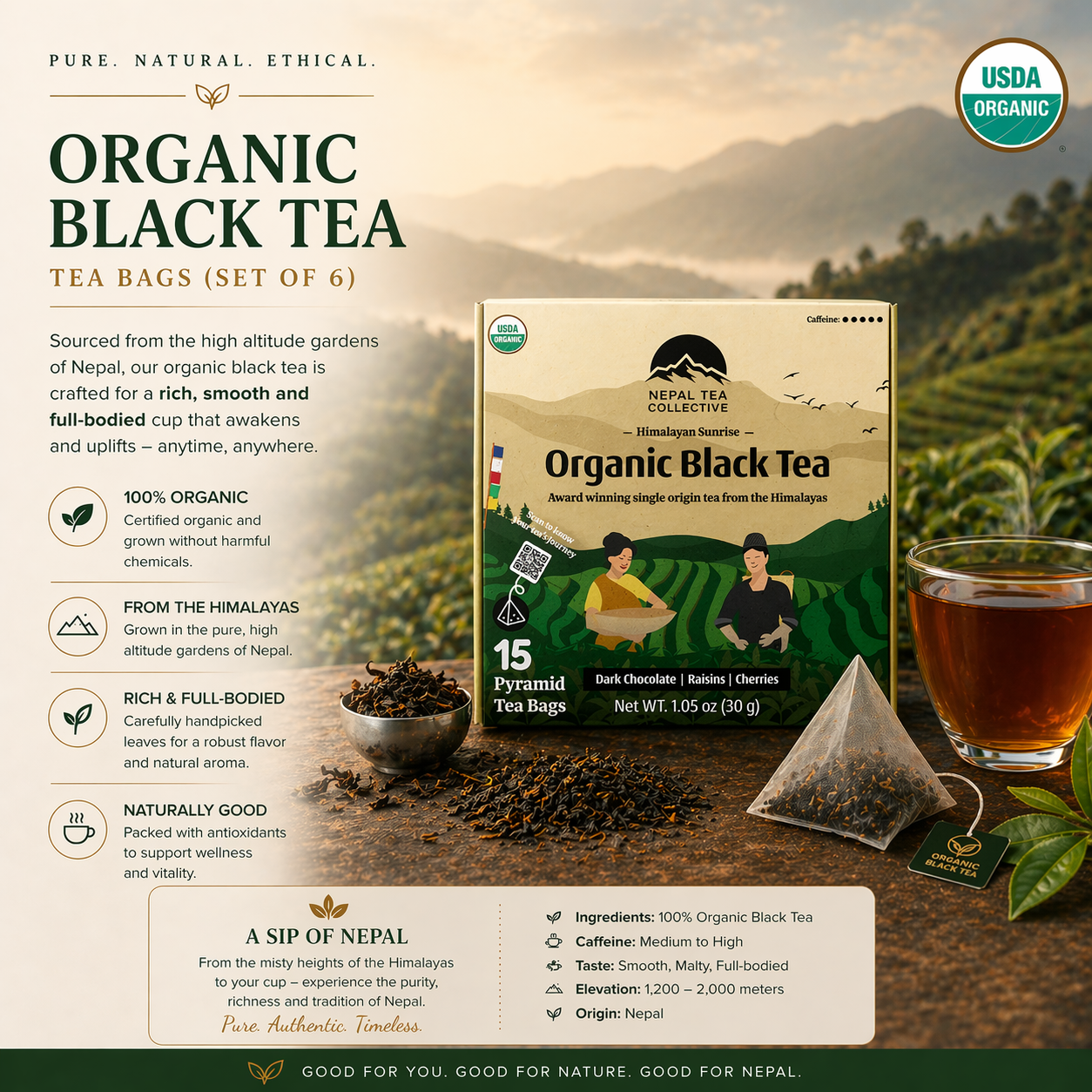 Himalayan Midnight | Artisanal Organic Black Tea (6pk)